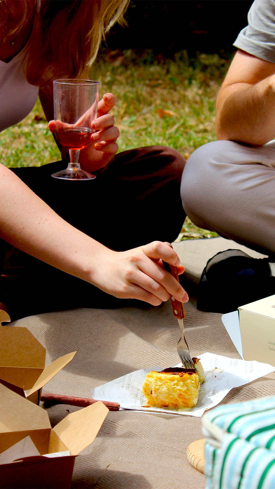 Picnic in the park, a slice of cheesecake and a glass of rosé